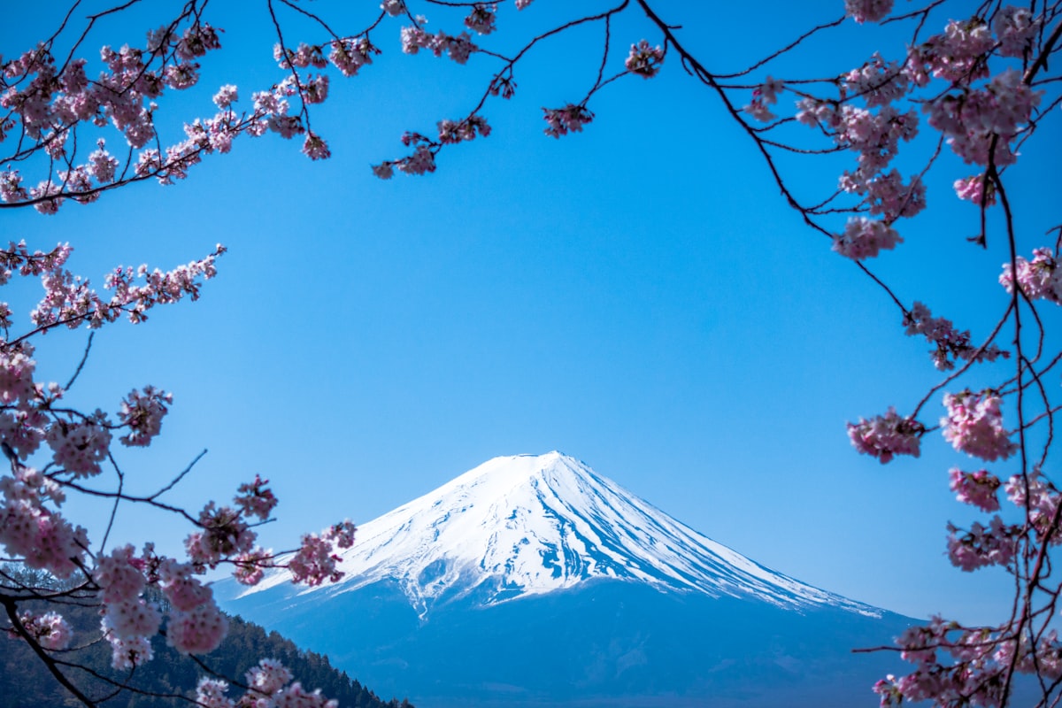 Picture of Japan Workation 2026